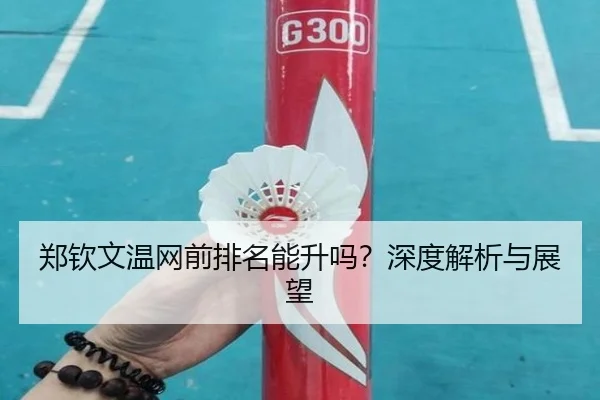 郑钦文温网前排名能升吗？深度解析与展望